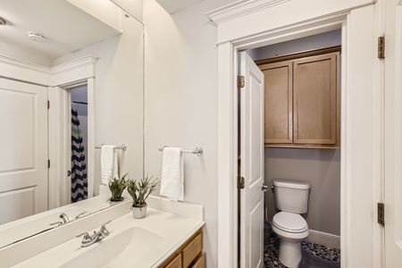 Primary bathroom with sink, toilet and shower