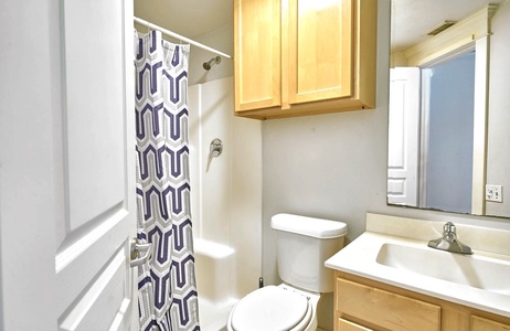 Bathroom with toilet, shower and sink