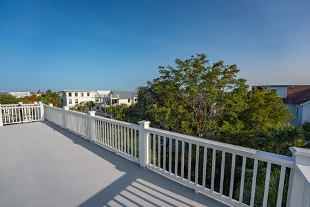 Bird's eye view from the rooftop porch overlooking tree tops and houses.