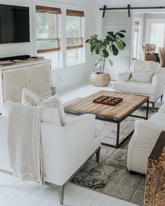 A cozy living room with white furniture, a wooden coffee table, a large potted plant, and a mounted TV. Natural light filters through window blinds.