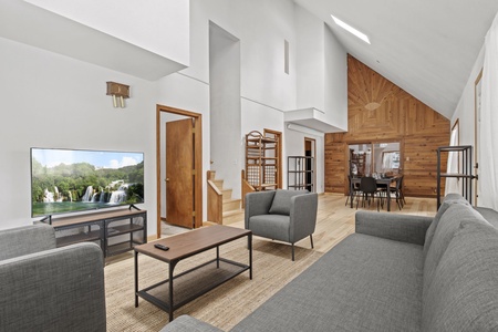 Living room and TV