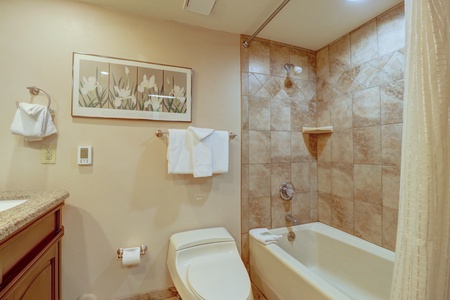 Bathroom features a toilet and shower/tub combo.