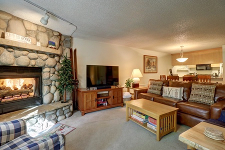 Living room area with TV and fireplace