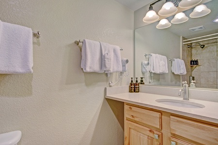 Bathroom features a nice vanity, toilet, and shower.