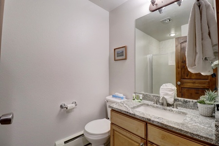 Nicely updated vanity with large sink and toilet.