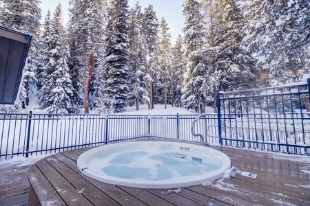 Outdoor communal hot tub boasting great views of snowy trees.