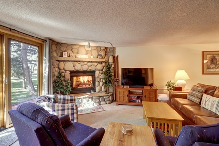 Cozy living room featuring a fireplace and TV