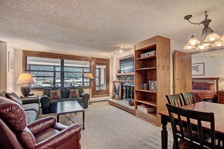 TV and Fireplace in the living area