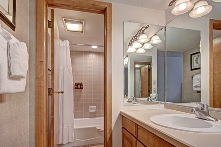 Full bathroom with a door to close off toilet/shower area.