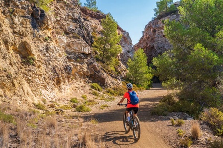 Explore the famous biking trails that Fruita is known for!