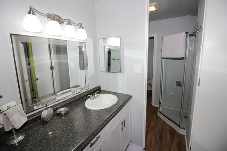 Master bath with shower and privacy door