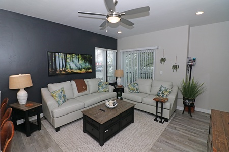 Comfy living room with full sofa sleeper