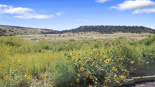 Enjoy the rural outdoors. 