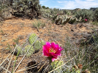 Beautiful Desert Views