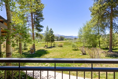 A scenic view of a grassy meadow with scattered trees, mountains in the distance under a clear sky, and a metal railing in the foreground.