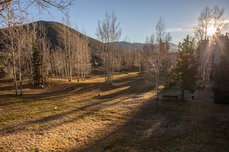 A serene outdoor scene with bare trees, a grassy area, and a park bench. The early morning or late afternoon sun casts long shadows, and mountains are visible in the background.