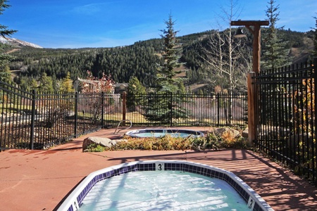 Outdoor hot tubs surrounded by a black metal fence, set against a scenic backdrop of pine trees and a mountainous landscape.