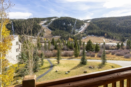 View from a wooden balcony overlooking a grassy area with pine trees, pathways, and distant snow-covered slopes on a forested mountain under a clear blue sky.