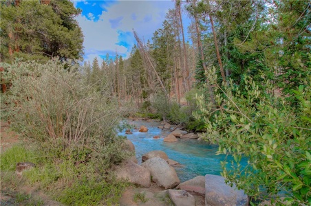 A clear blue stream flows through a dense forest with rocks and green vegetation along its banks under a partly cloudy sky.