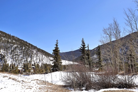 A snowy landscape with leafless trees, evergreen trees, and mountains in the background under a clear blue sky.