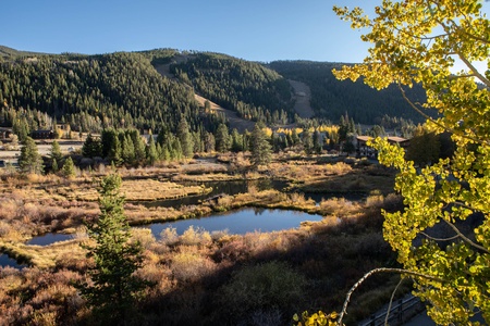 A scenic landscape featuring a small pond surrounded by autumn foliage with evergreen trees and mountains in the background under a clear blue sky.