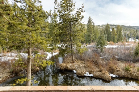 A serene view of a small stream flowing through a forested area with snow patches on the ground and conifer trees. The scene is set against a backdrop of cloudy skies and distant hills.