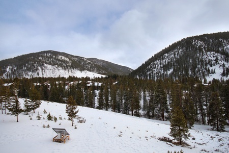 Snow-covered landscape featuring rows of pine trees leading to forested mountainous terrain under a cloudy sky, with a solitary bench in the foreground.