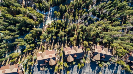 Aerial view of a row of houses with brown roofs surrounded by dense forest, with sunlight casting long shadows of the trees.