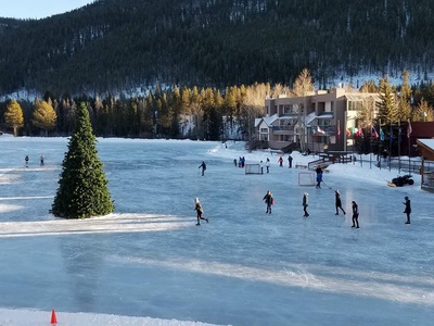 People skating on a frozen outdoor rink surrounded by snow and trees, with a large Christmas tree in the middle and buildings in the background.