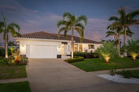 Twilight Palm Highlight