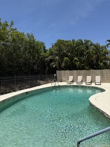 Kidney Shaped pool