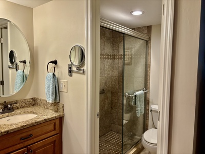 Master Bath - Step free Shower