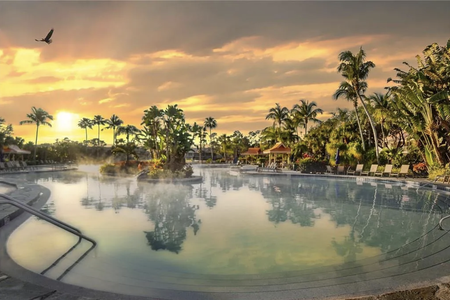 Morning at the pool