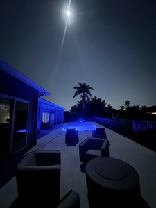 Magical Nights Fire Pit and Palm Trees