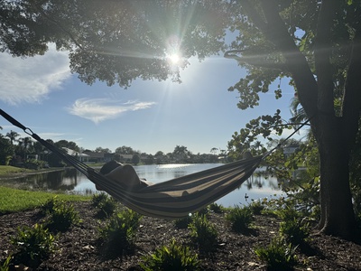 A person relaxes in a hammock hanging between two trees near a calm lake, with the sun shining brightly and greenery surrounding the area.