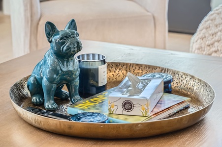 Say hello to Winston! The homes Mascot!