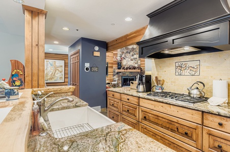 Gourmet Kitchen