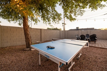 Ping Pong Anyone?