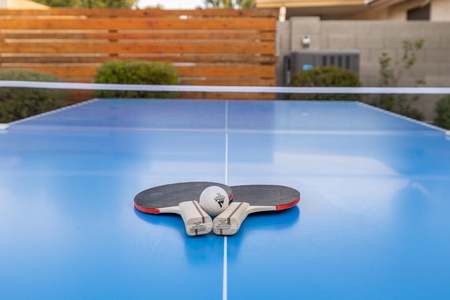 A blue outdoor table tennis table with a white net has two paddles and a ball placed in the center. A wooden fence and greenery are visible in the background.