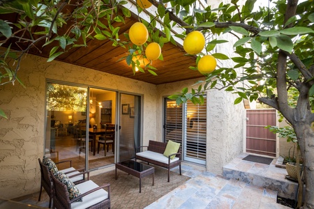 Scottsdale Miller - a SkyRun Phoenix Property - A private, serene, ground floor patio