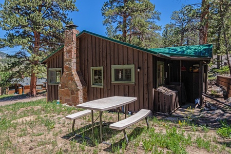 Backyard with grill and picnic table