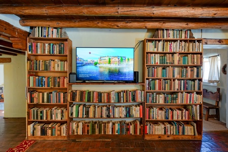 A tv on a wall of books.