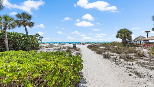 A sandy path flanked by green vegetation and palm trees leads to a beach with blue water and a partly cloudy sky.