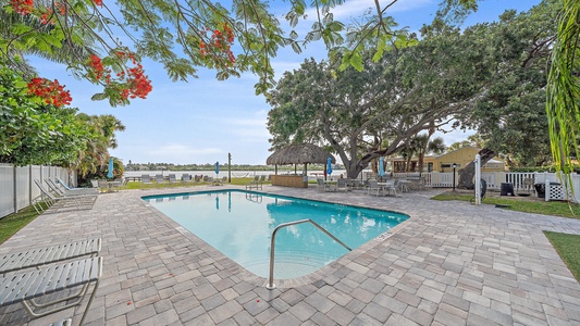 A rectangular outdoor pool is surrounded by lounge chairs. A tree with red flowers hangs overhead, and a thatched umbrella stands beside the pool. In the background are more chairs and a view of a water body.