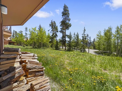 A stack of firewood is next to a house on the left side of the image with a grassy yard and trees in the background under a clear blue sky.