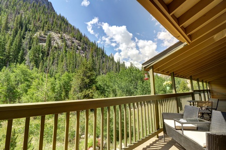 Beautiful views of the rec path and Mount Royal from the private, covered deck.