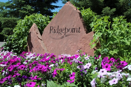 Stone monument with the text "Ridgepoint" surrounded by purple and white flowers and green foliage.