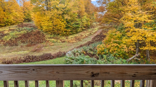 - Balcony view of autumn trees with colorful foliage - Scenic outdoor space for enjoying crisp Vermont air - Peaceful retreat after hiking or mountain exploring
