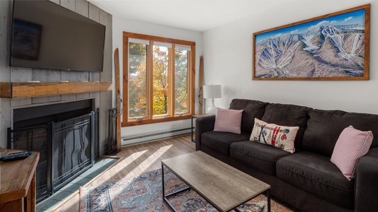 Cozy living room with wood Fireplace