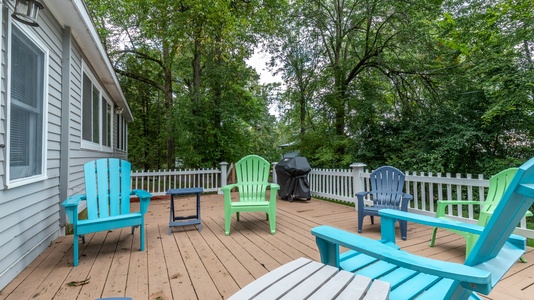 Outdoor Deck and Gas Grill